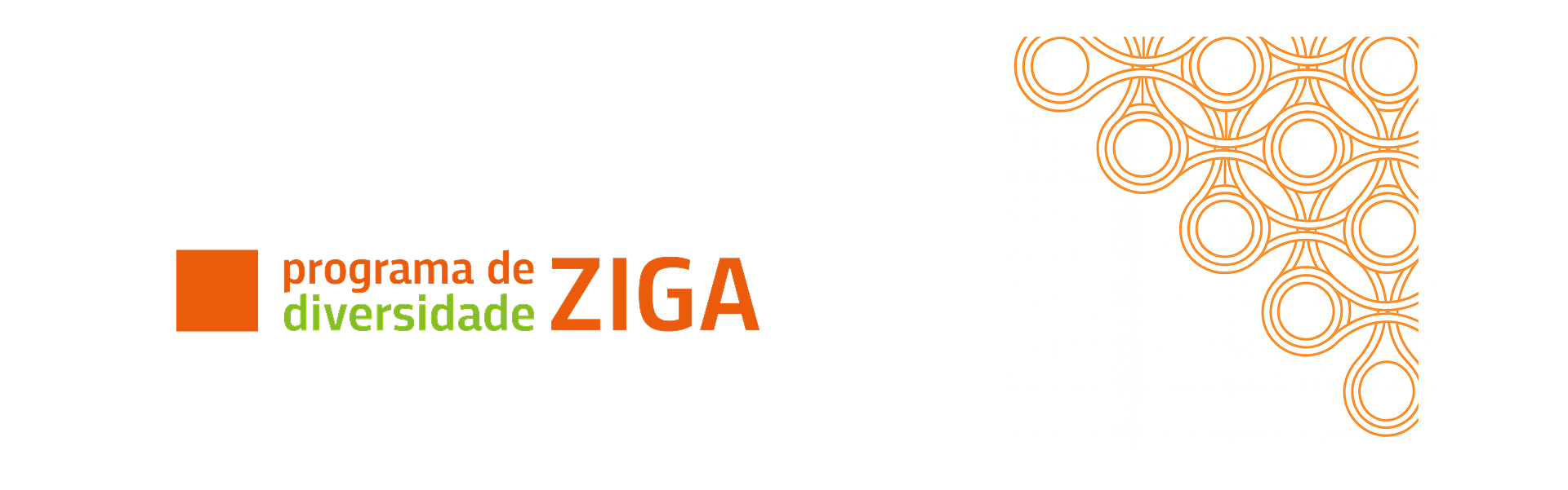 Banner ziga do Futuro